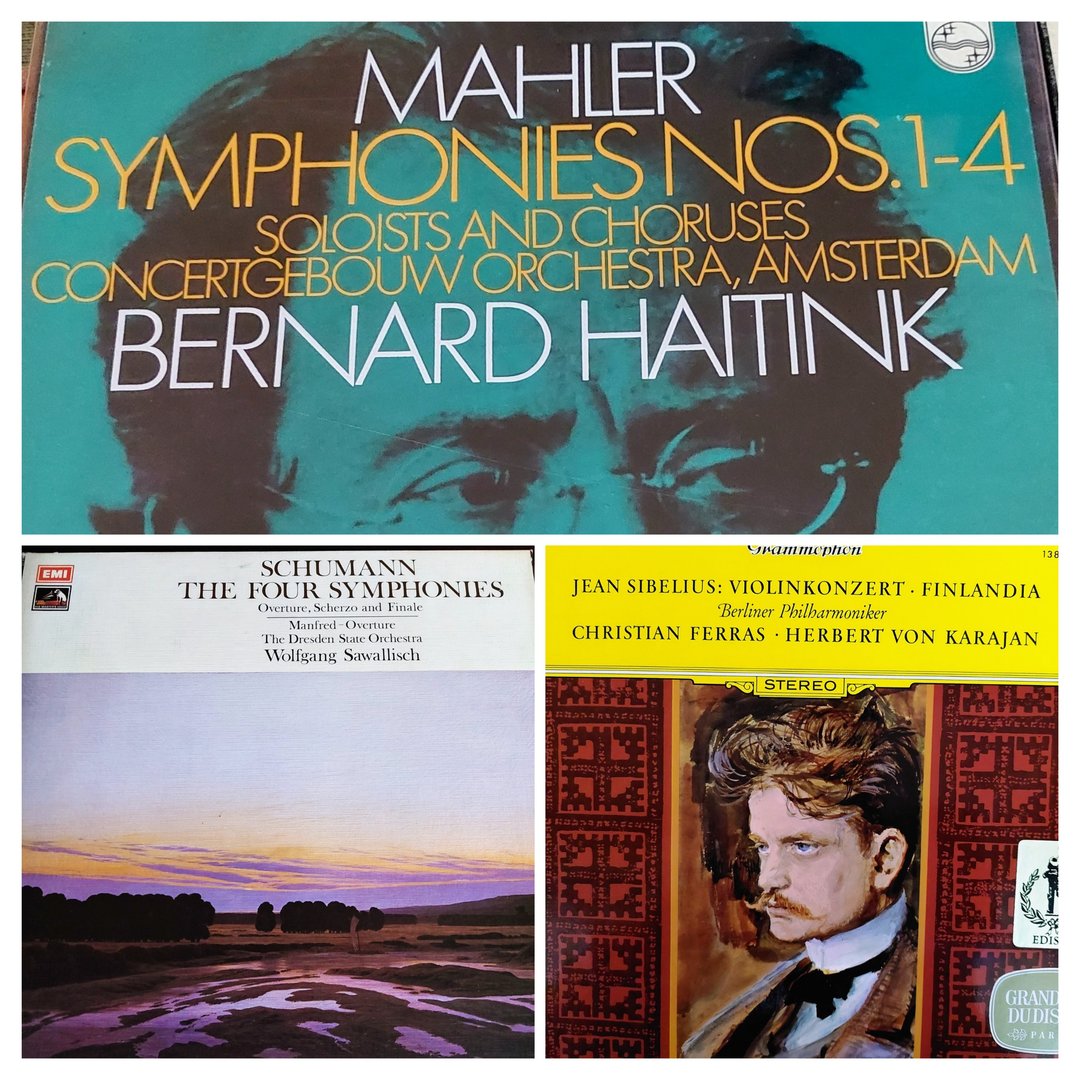 20230711_212205-COLLAGE.jpg
