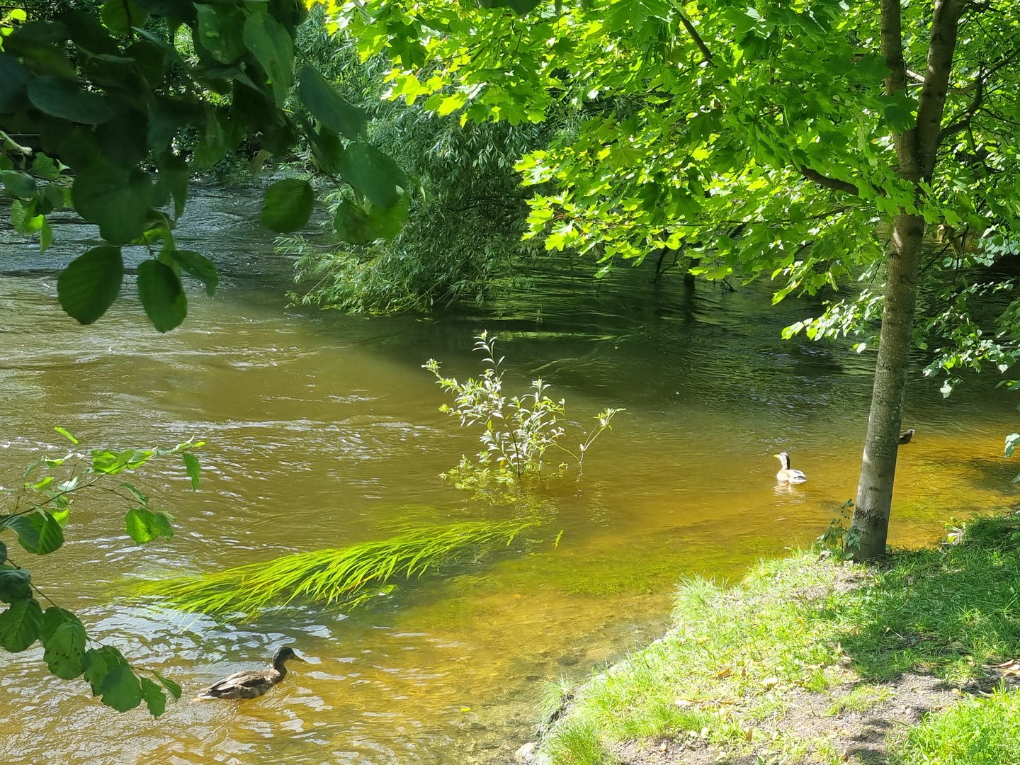 20230822_132005.jpg