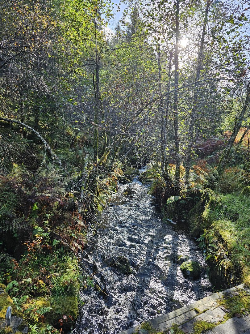 20230924_113404.jpg