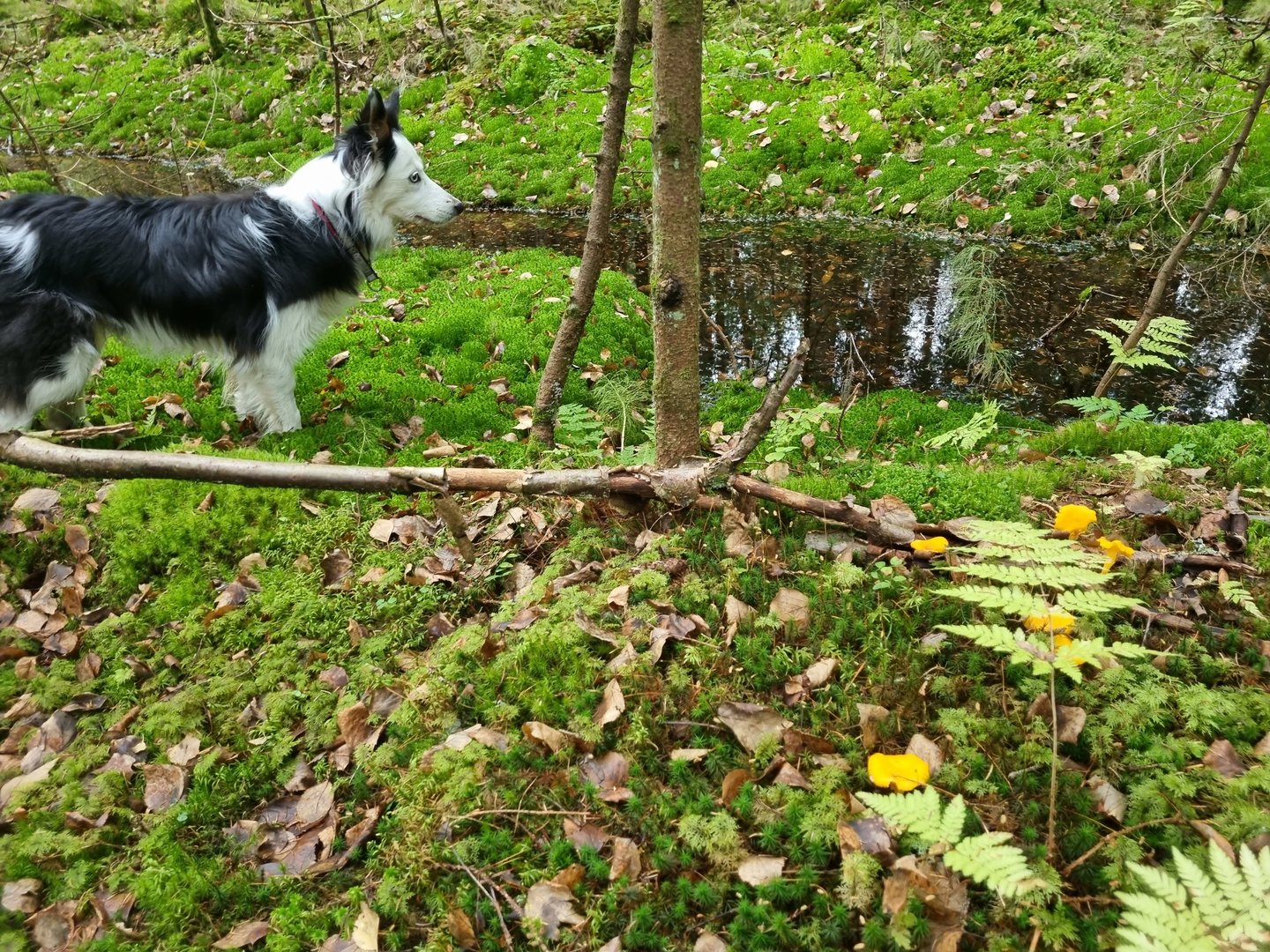 20231017_135037.jpg