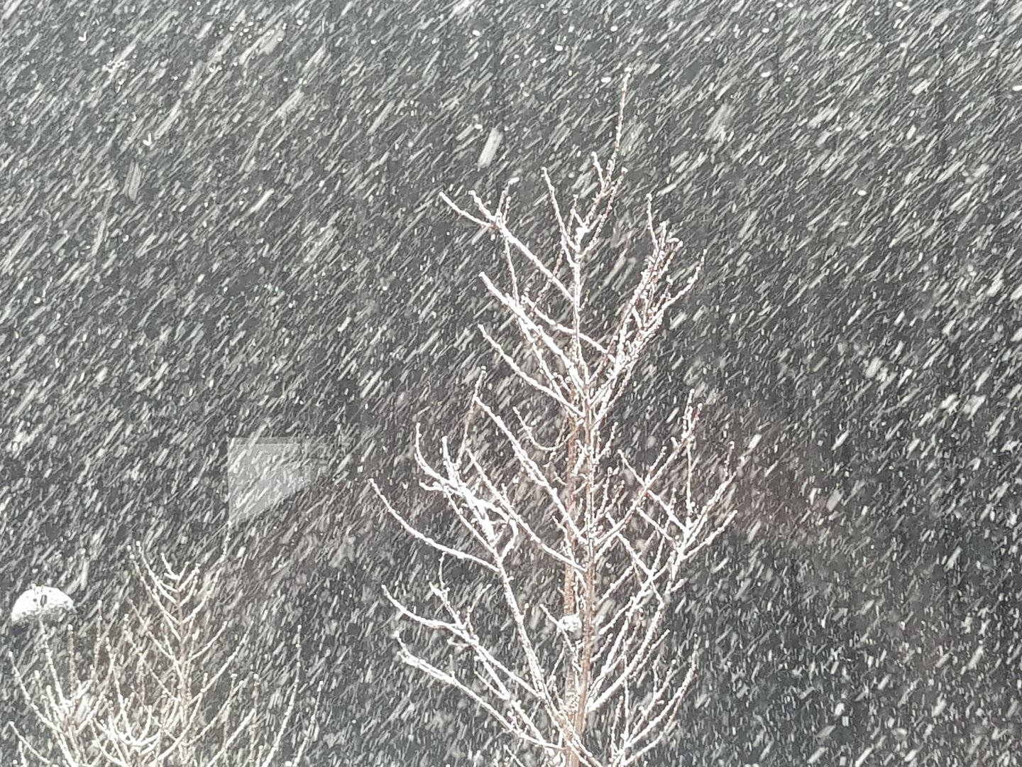 20240316_084707.jpg
