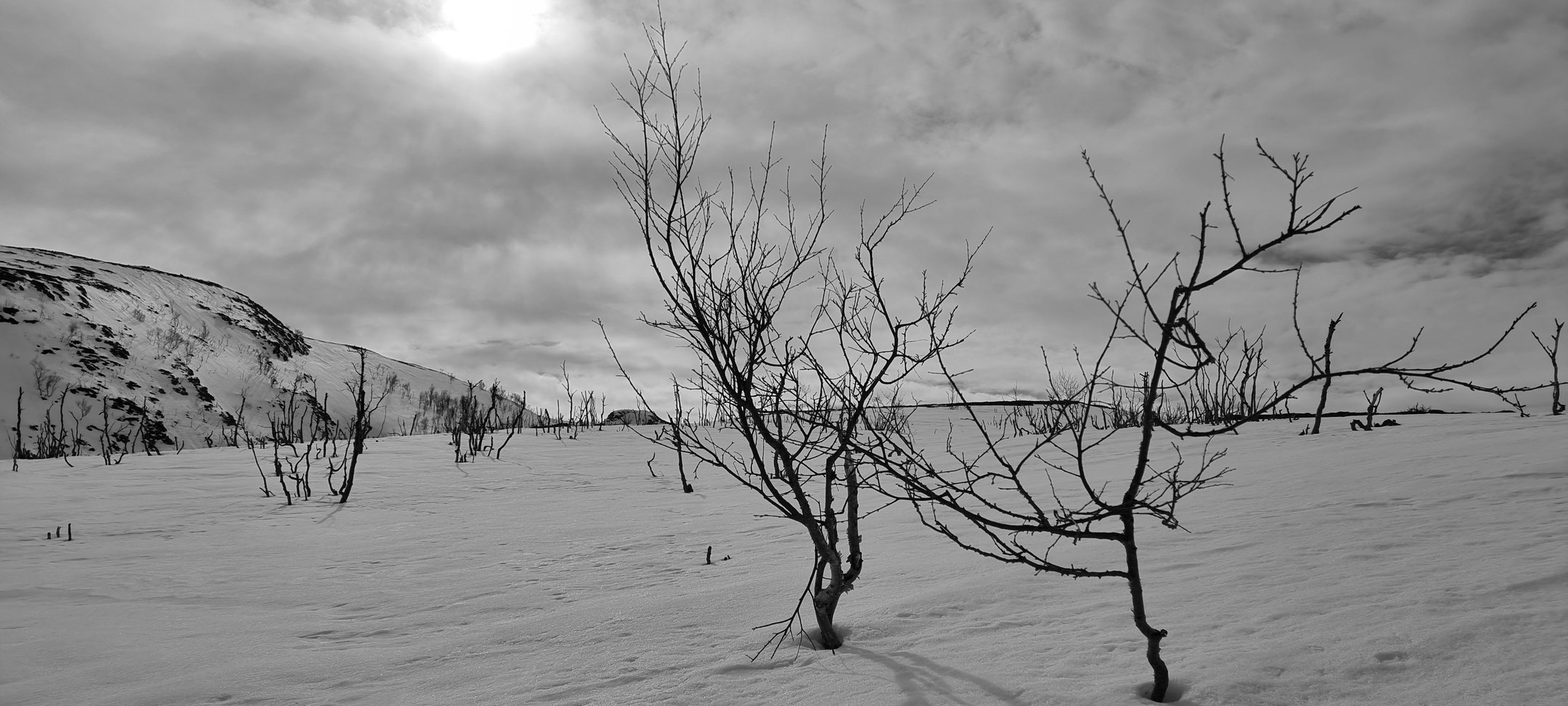 20240413_133249 (1).jpg