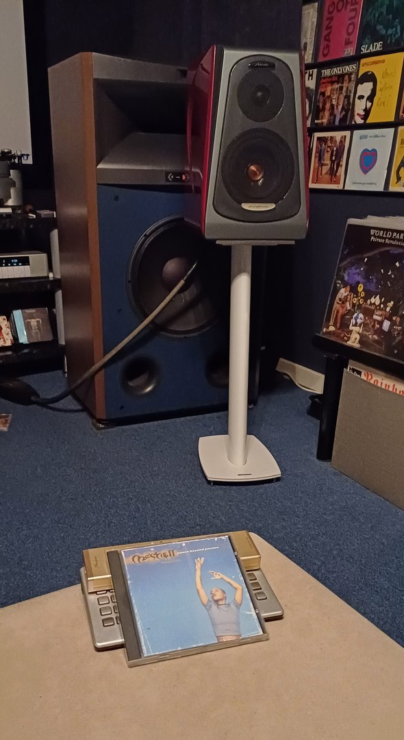 20250501_182902.jpg