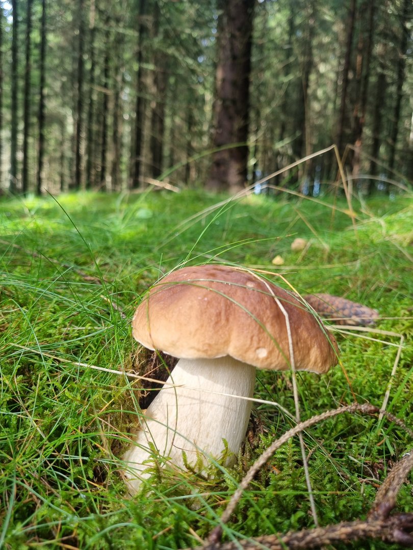 20250912_134825.jpg