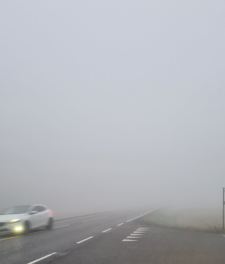 20250926_070254.jpg