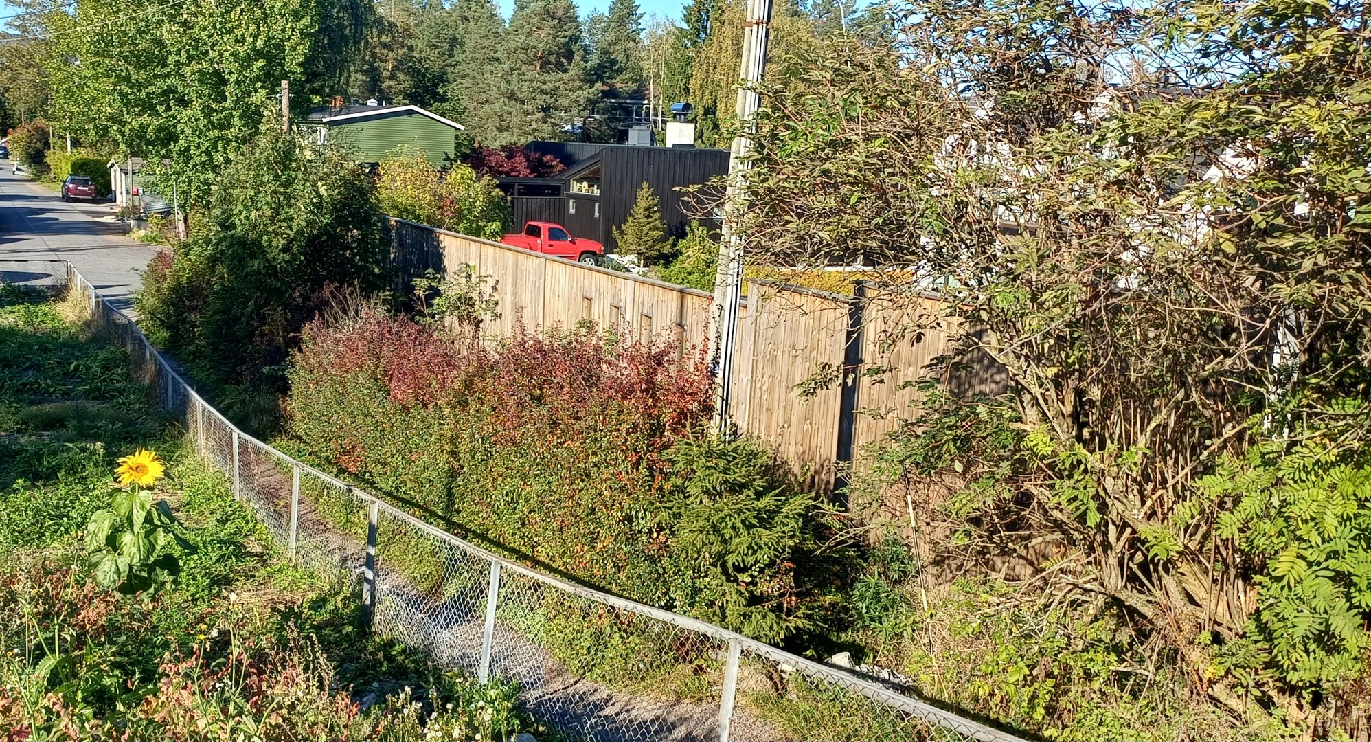 20250927_151138.jpg