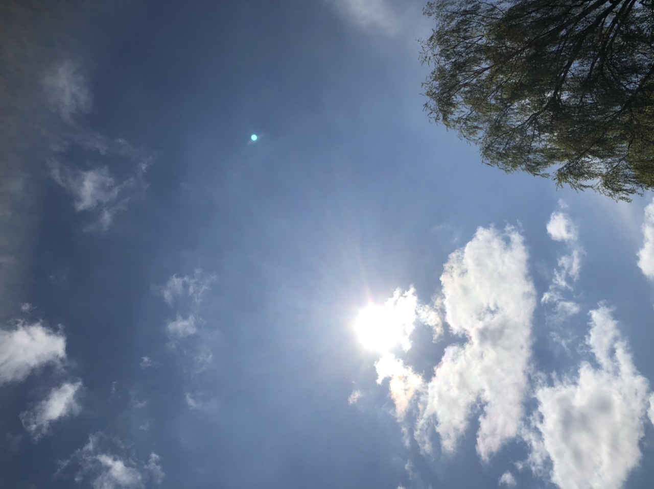 26DD1E17-2935-4B27-B0D3-C6B8954A73E2.jpeg