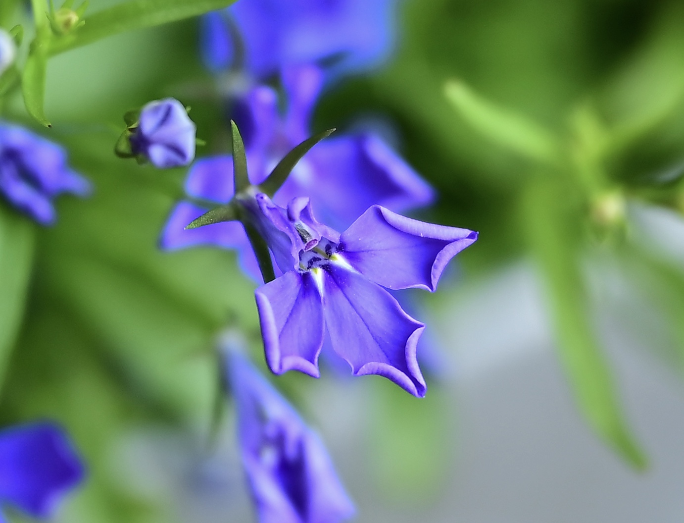 2DCCDFAB-05A9-49E2-805F-1B634FFD8D93.jpeg