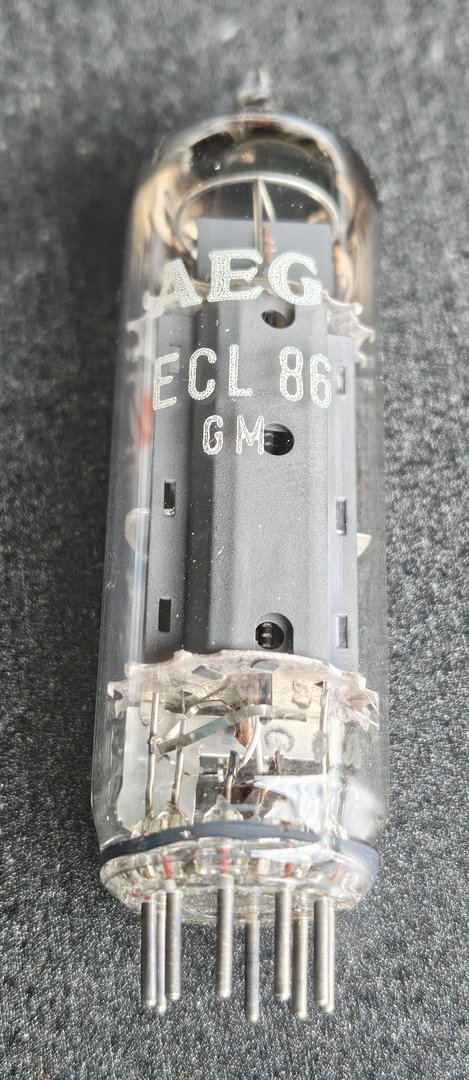 3595.jpg