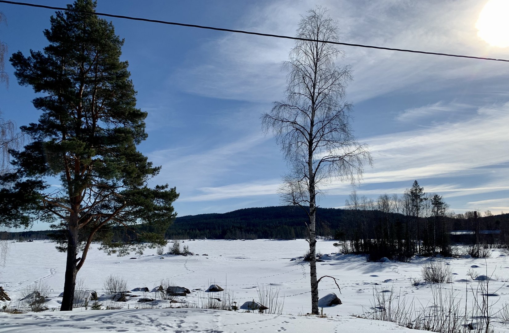37CBDC02-E86D-41E2-B750-1F02602F2DA6.jpeg