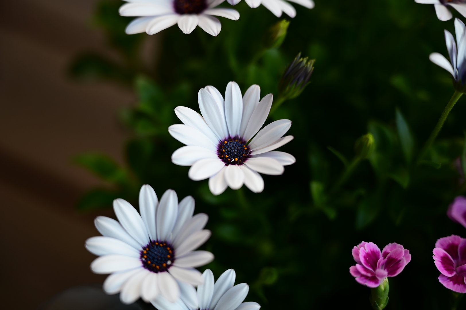 385FAE6C-6400-4000-972F-9224A4B1FB6D.jpeg