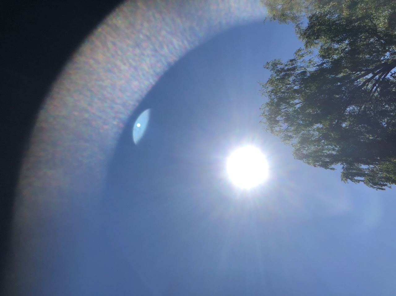 4D8D2FE8-864C-48BB-94F6-5017BCEEDCAE.jpeg