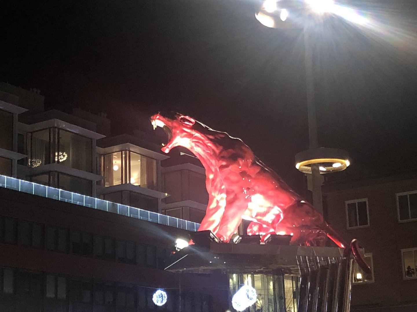 5CCEED7D-3D92-4204-8159-CA36ED8273AB.jpeg