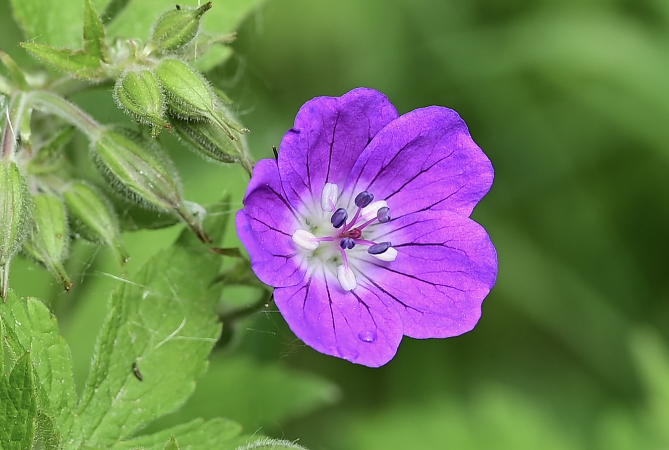 6418C785-9F68-4BF4-BFFC-4AA1A6D2A329.jpeg