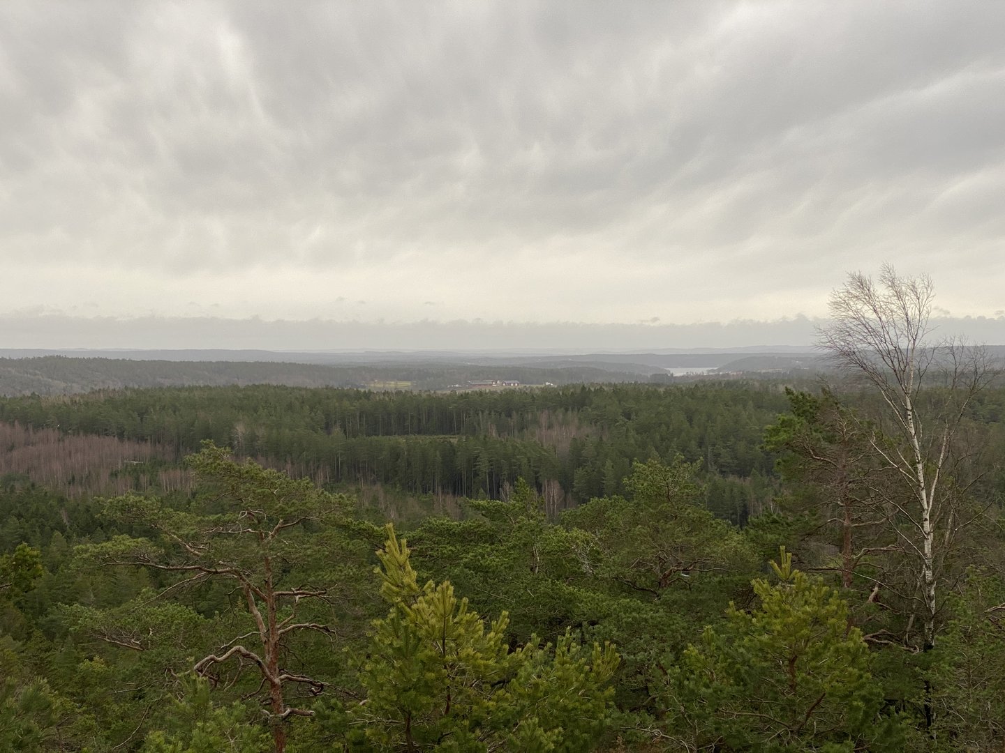 677AC27C-6248-40E4-B636-C46C6E670700.jpeg