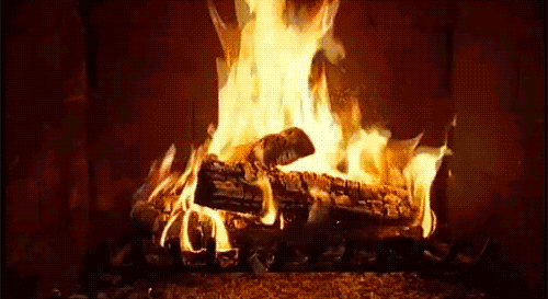 69342E12-FBAD-4C99-B368-07B638867383.gif