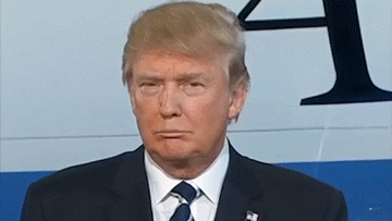 71866CD4-3733-48C7-9CD6-CEBD50265B42.gif