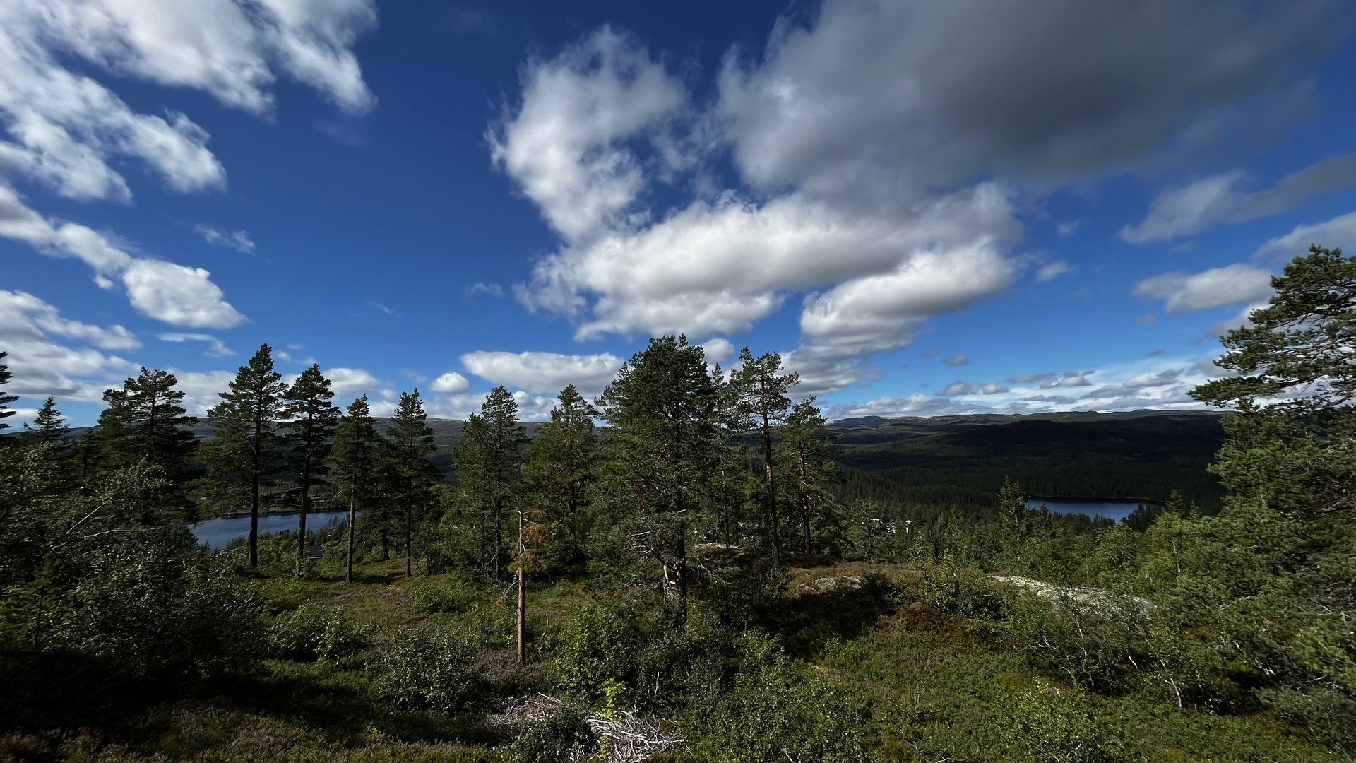 7195C68B-587A-4C2D-A83B-A0E983E5EF2C.jpeg