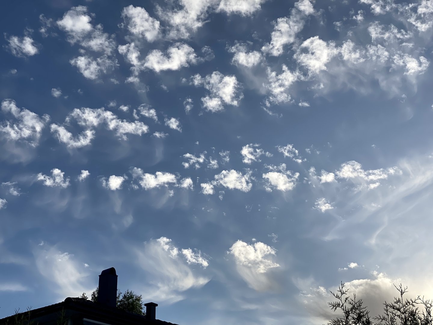 75962D77-4E9E-4C3D-AD28-77F2F8277E7B.jpeg