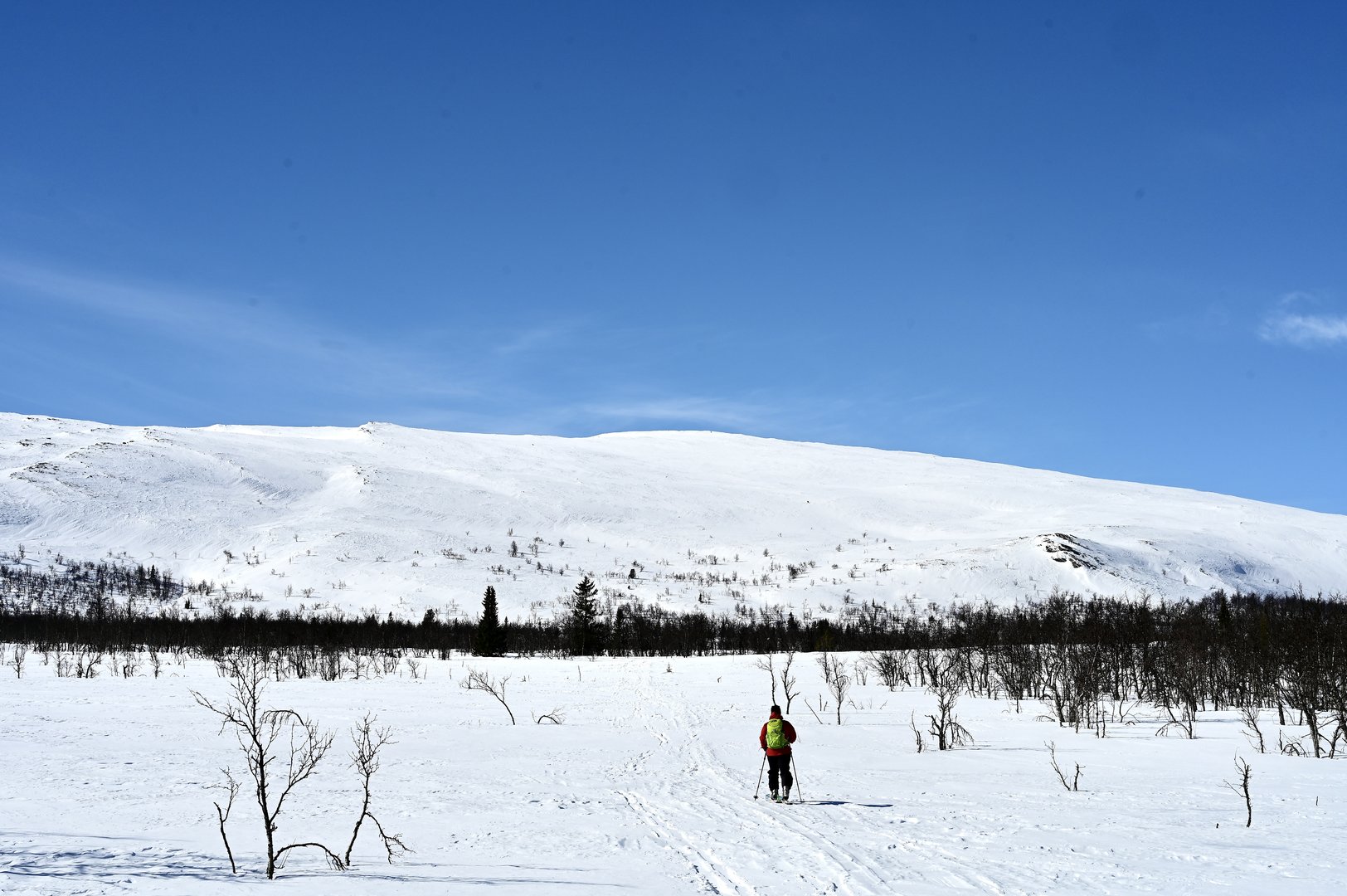 76393341-DF08-4EF4-A0D9-A3C31971EA16.jpeg