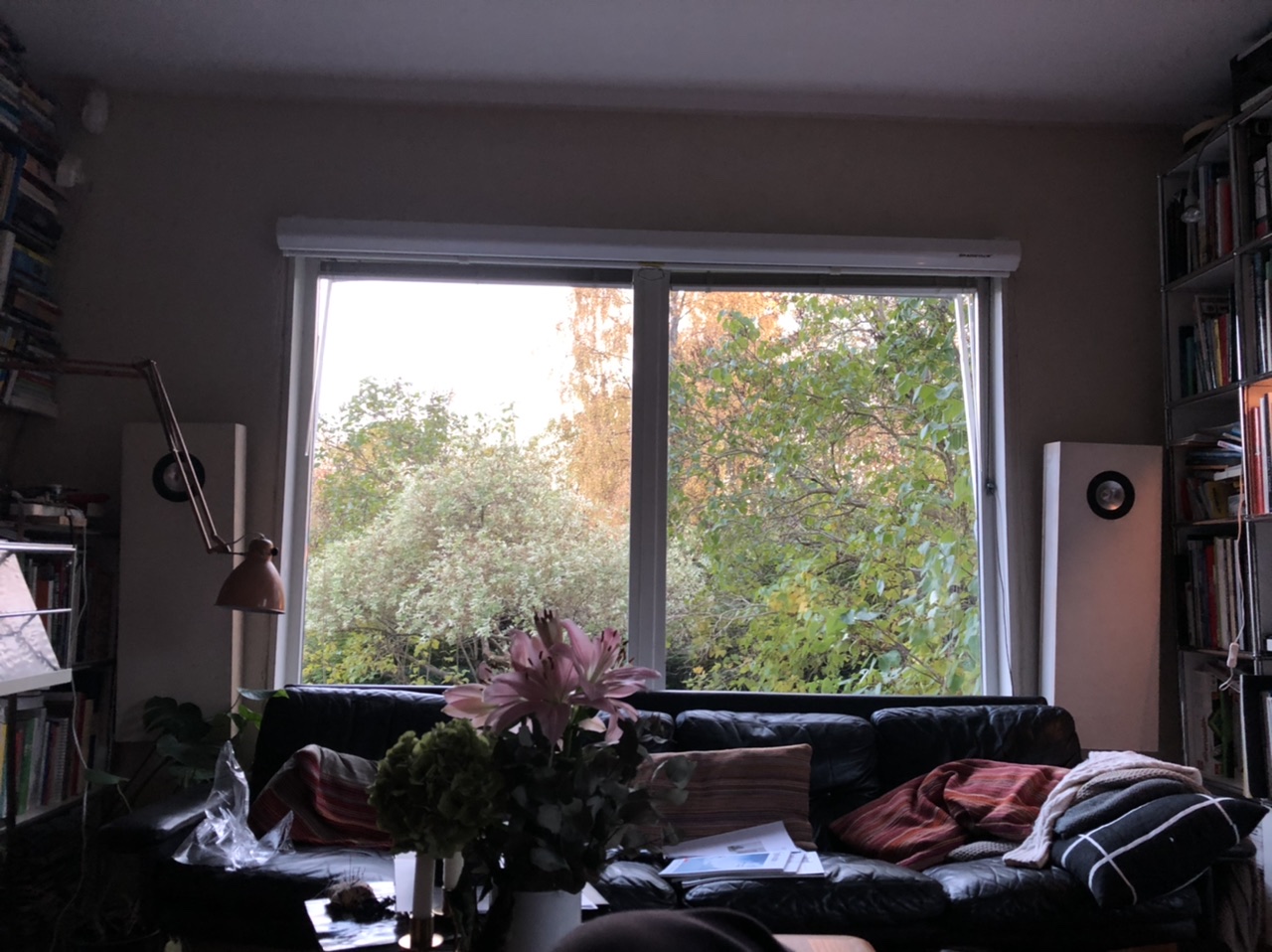 7A4B4221-B8DD-495D-AC46-BA79FD194683.jpeg
