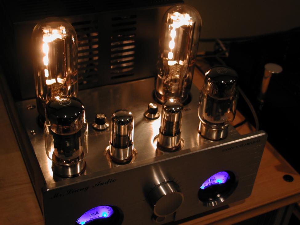 845-class-A-triode-25-watts-.jpg