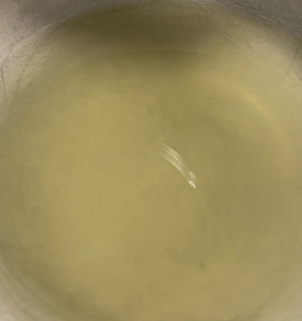 9139AA83-BC33-40C0-8687-E04C2ECFA6D5.jpeg