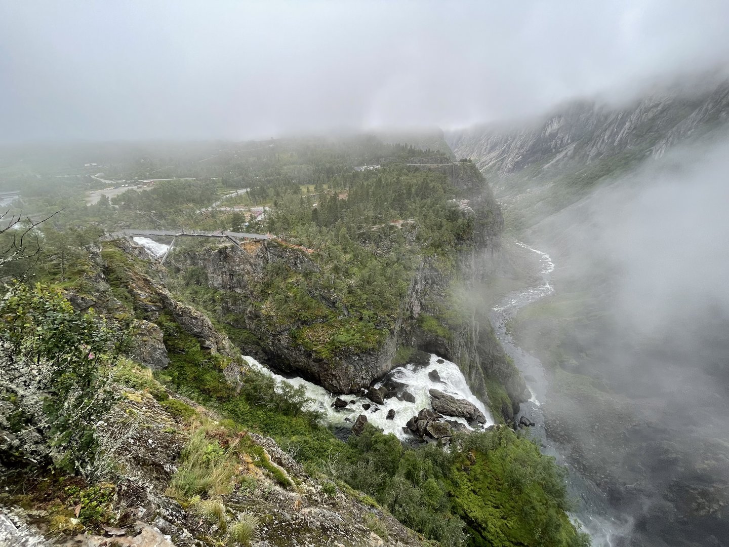 95C59476-0F10-414C-B2E9-DE794B5EC07F.jpeg