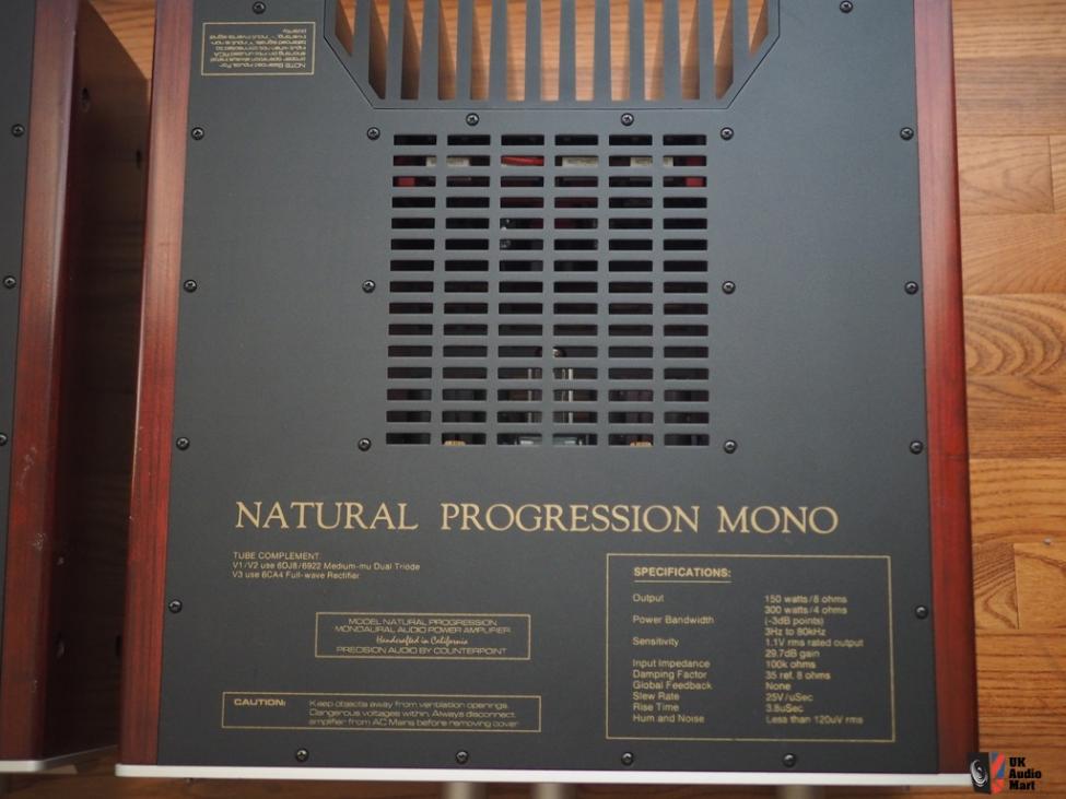 987500-counterpoint-natural-progression-mono-amps.jpg