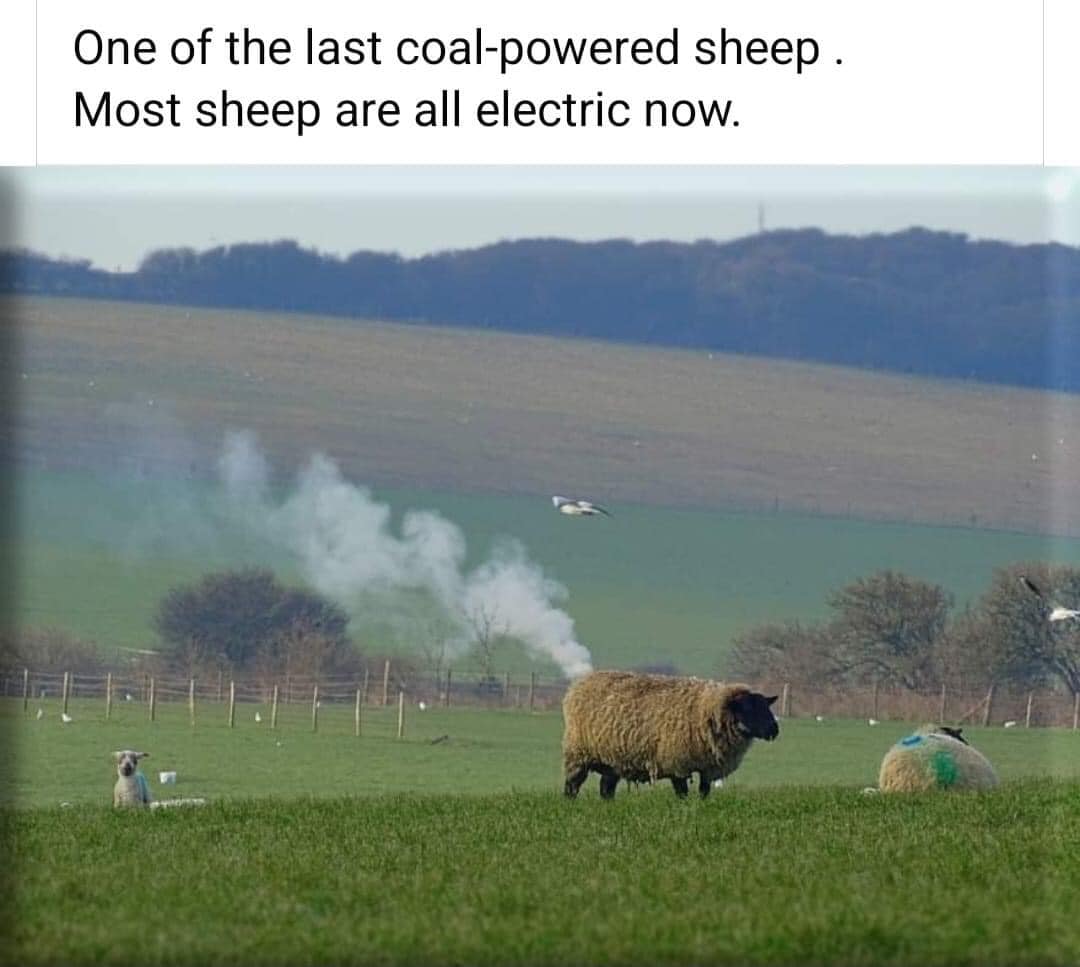 _1.jpg
