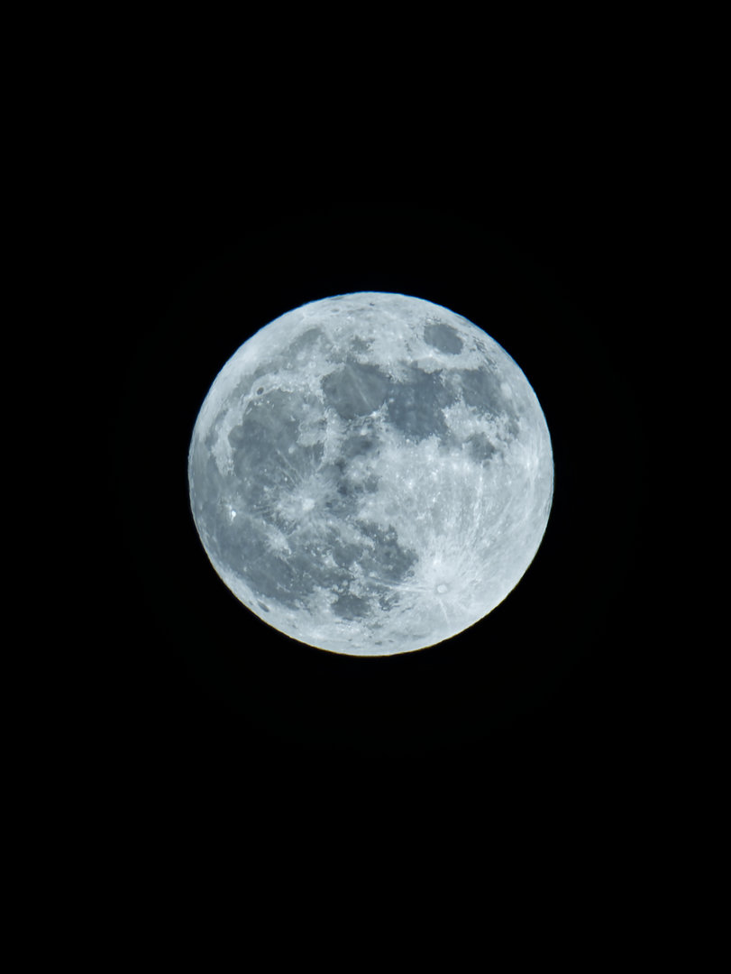 _DSC0722_DxO.JPG
