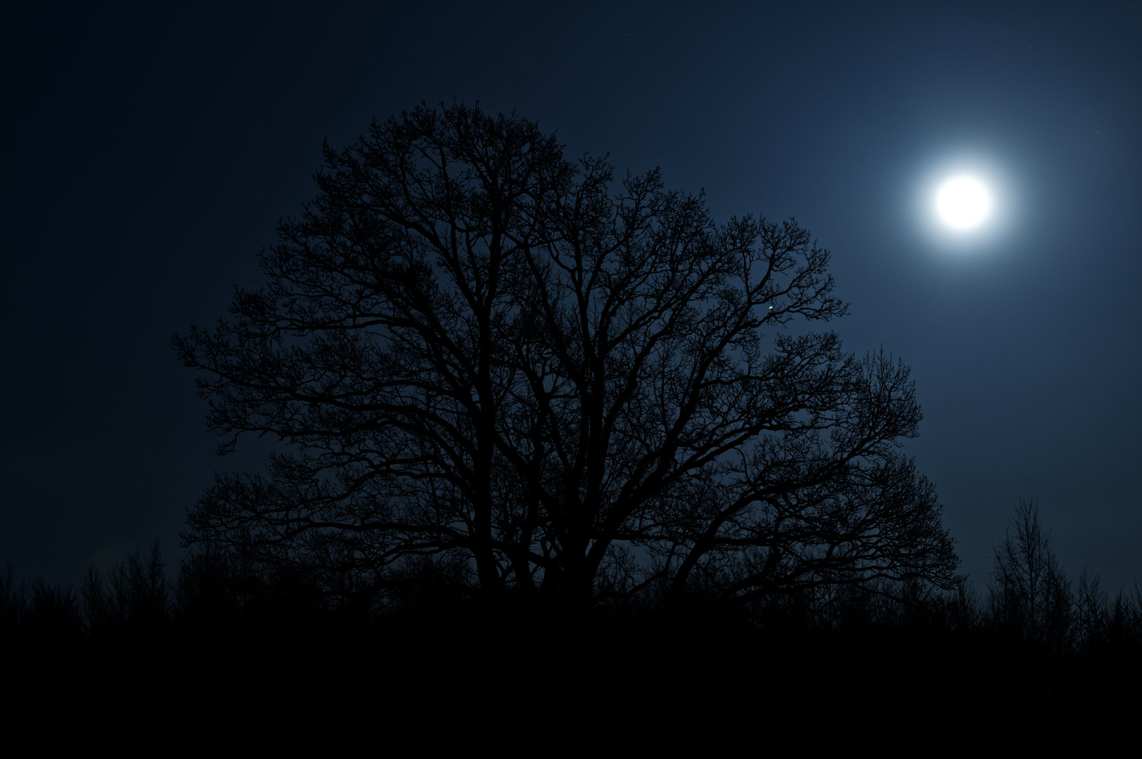 _DSC0724_DxO.JPG