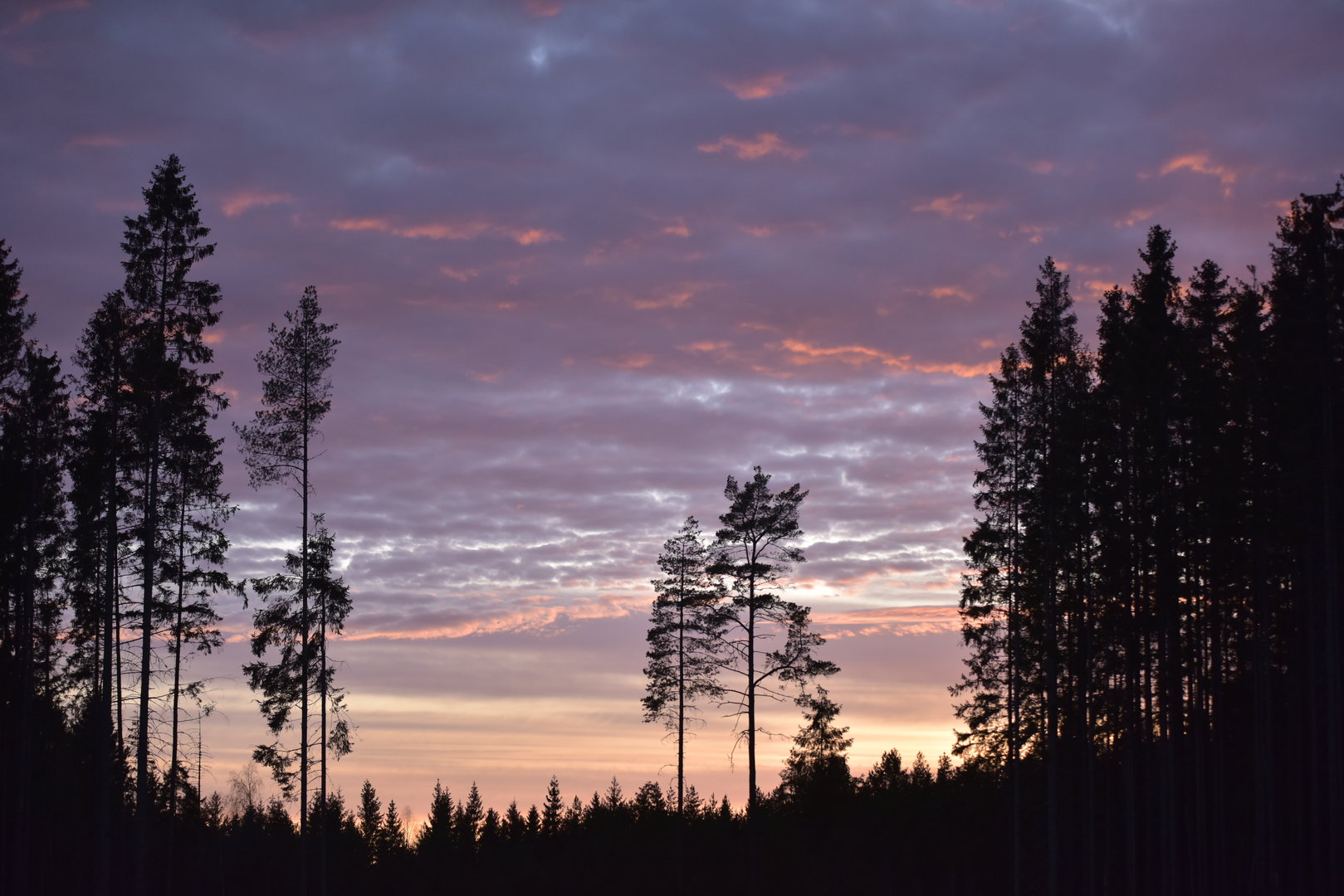 _DSC3302.JPG