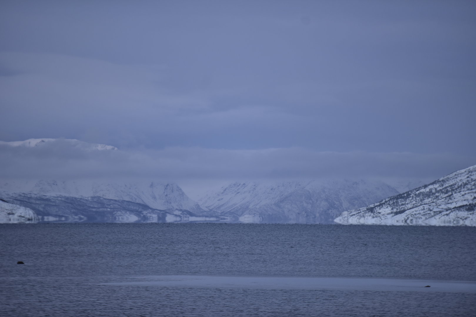_DSC5053.JPG