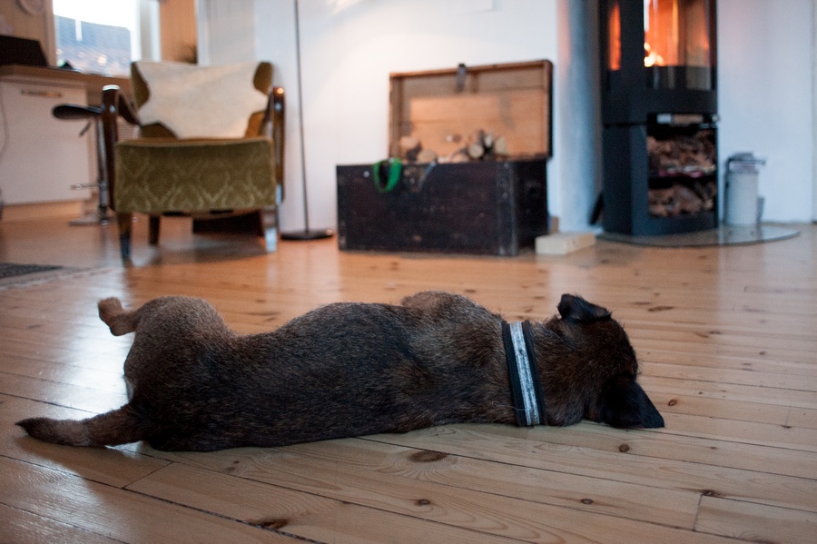_DSC8490-1rs.jpg