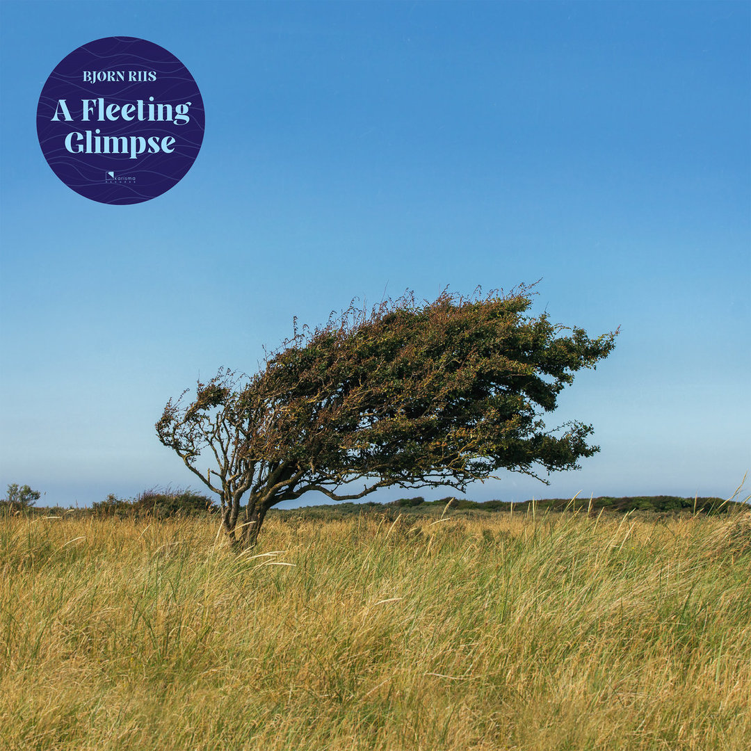 A_Feeling_Glimpse_cover_front_01.jpg