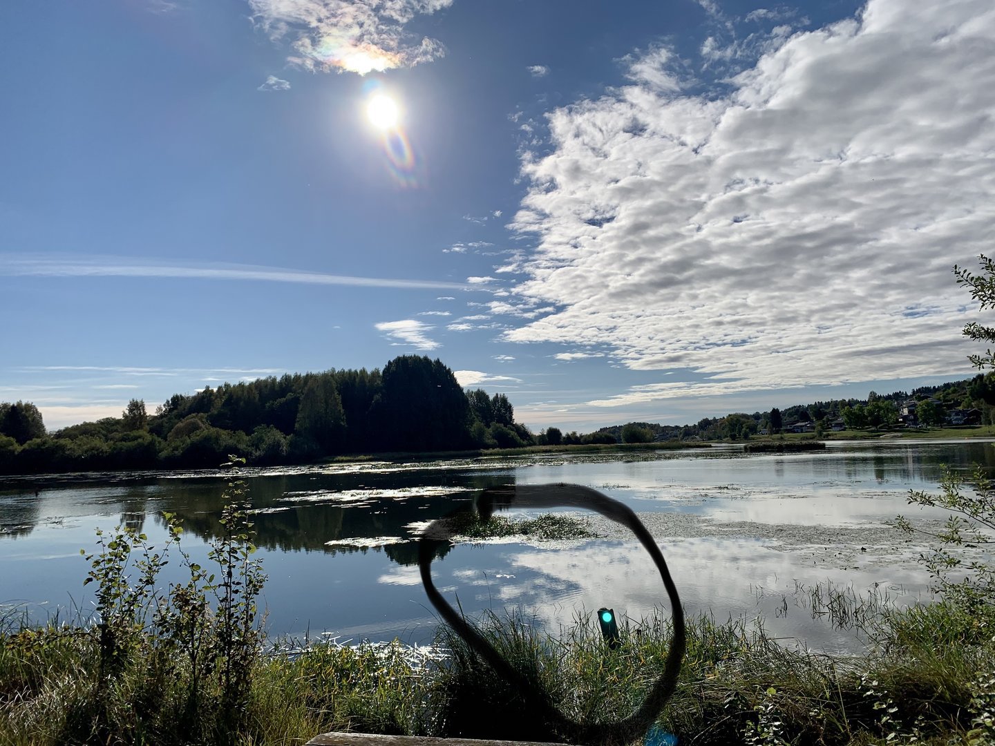 AB865396-5B15-4EE7-93AF-49643629FE9D.jpeg