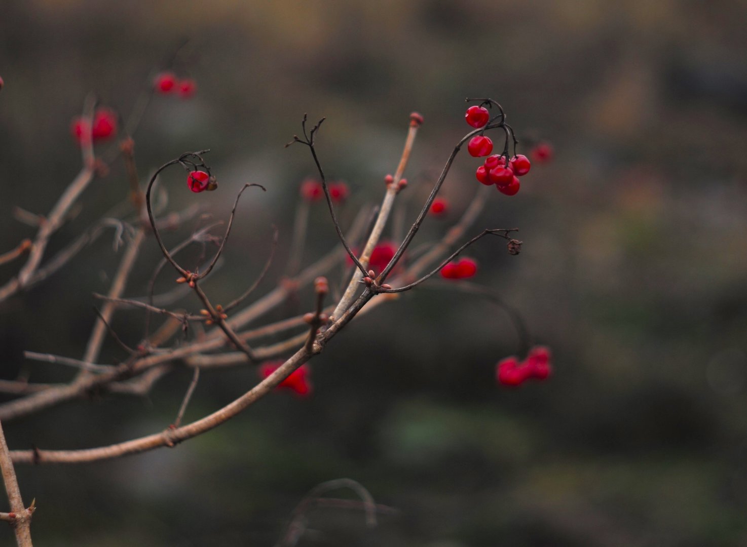 AEBEED2C-3F52-4743-BCDC-AF2D7B98BC2A.jpeg