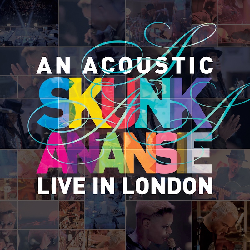 an_acoustic_skunk_anansie__packshot_web.jpg