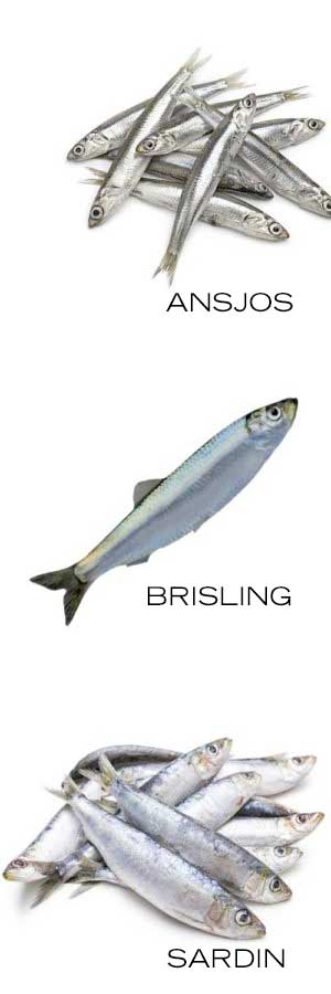 ansjos-brisling-sardin.jpg