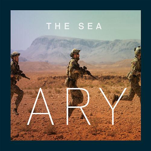 ary.jpg