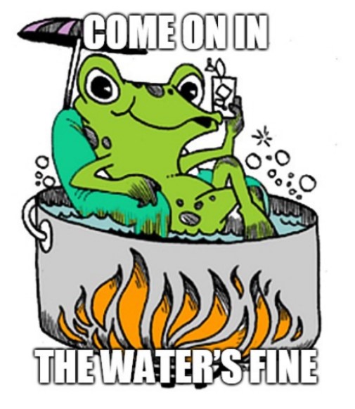 audio_frog.jpg