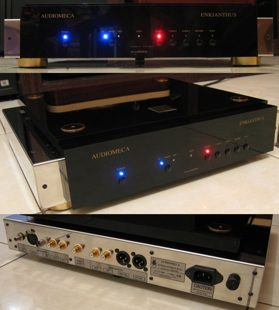 Audiomeca Enkianthus DAC1-vert.jpg