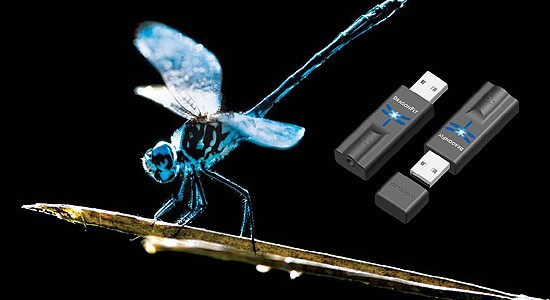 audioquest-dragonfly-550x300.jpg