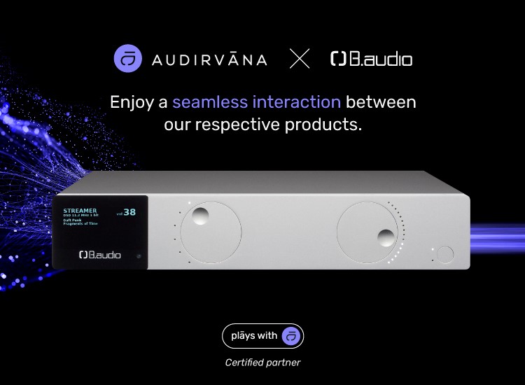 b.dac-audirvana.jpg