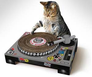 b366e_cat-scratch-dj-turntable.jpg