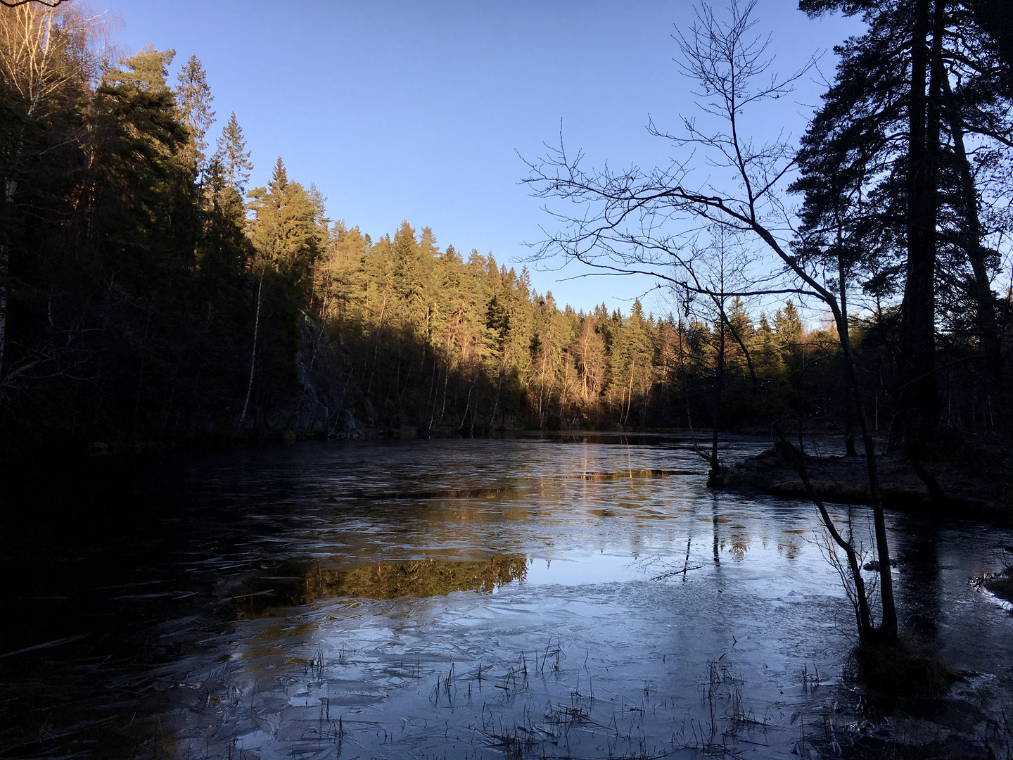 BFE61A8C-453D-49A7-A0E5-72F3F3AD0A94_1_201_a.jpeg