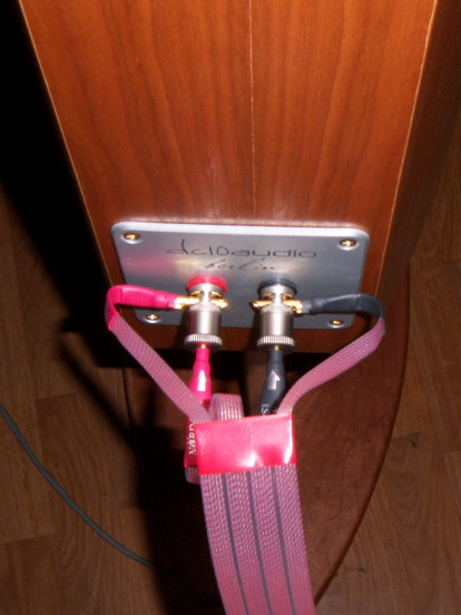 bi-wire.jpg