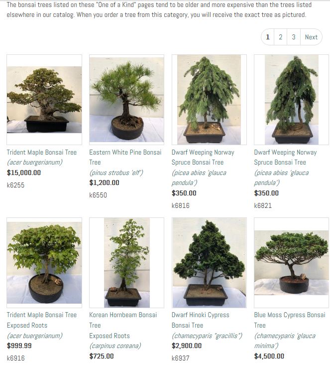 Bonsai.JPG