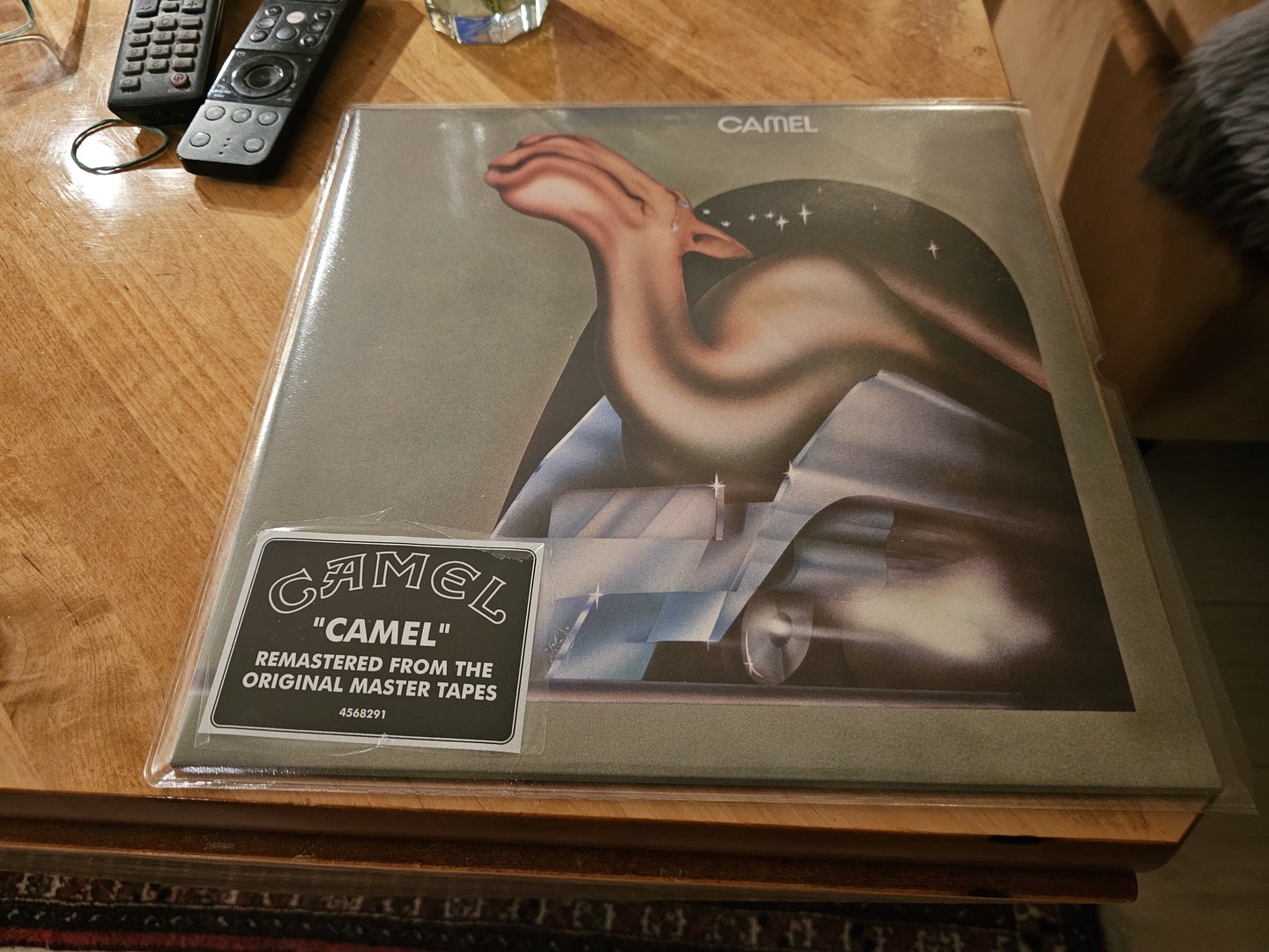 Camel-Camel 1973.jpg